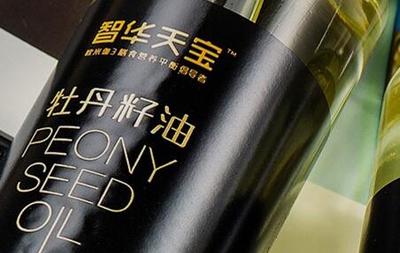 簽約潞安集團(tuán)智華天寶品牌網(wǎng)站建設(shè)項(xiàng)目